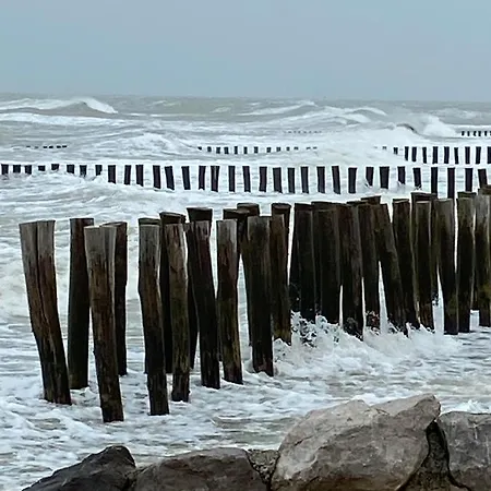 La Bouee Rose * Sangatte